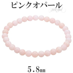 sNIp[ uXbg 5.8mm 16.5cm fB[XS TCY 10 a Ip[ sN VR p[Xg[ fB[X  r  sNIp[uXbg Ip[uXb