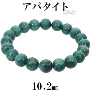 O[Ap^Cg uXbg 10.2mm 19cm Y L fB[X LL TCY Ap^Cg VR p[Xg[ u[ O[    r uX j  Ap^CguXbg V