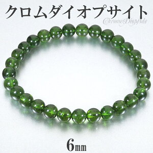 N_CIvTCg i uXbg 6mm 16.5cm fB[XS TCY VR p[Xg[ _CIvTCg N fB[X  uX r  O[   N_CIv