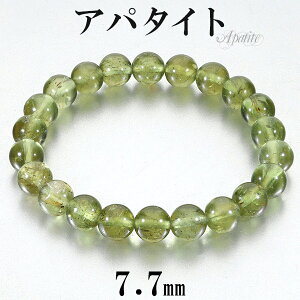 O[Ap^Cg uXbg 7.7mm 16cm fB[XS TCY VR p[Xg[ Ap^Cg fB[X  r  uX O[  O[Ap^CguXbg Ap^C