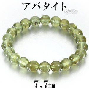 O[Ap^Cg uXbg 7.7mm 16cm fB[XS TCY VR p[Xg[ Ap^Cg fB[X  r  uX O[  O[Ap^CguXbg Ap^C