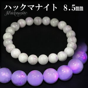 nbN}iCg uXbg 8.5mm 17.5cm Y M fB[X L TCY VR p[Xg[ Y fB[X r uX  p[v VR΃uXbg p[Xg[uXbg