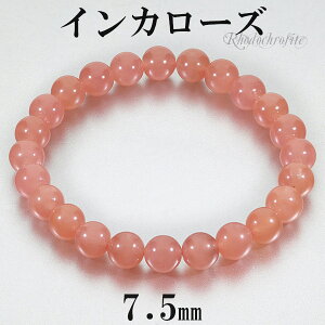 CJ[Y [hNTCg i uXbg 7.5mm 17cm fB[XM TCY VR p[Xg[ fB[X  r  uX [hNTCguXbg CJ[Yu