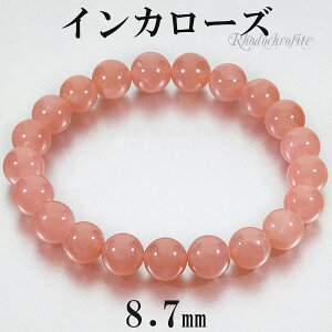 CJ[Y [hNTCg i uXbg 8.7mm 17cm fB[XM TCY VR p[Xg[ fB[X  r  uX [hNTCguXbg CJ[Yu