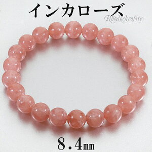 CJ[Y [hNTCg i uXbg 8.4mm 17cm fB[XM TCY VR p[Xg[ fB[X  r  uX [hNTCguXbg CJ[Yu