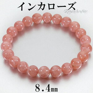 CJ[Y [hNTCg i uXbg 8.4mm 17cm fB[XM TCY VR p[Xg[ fB[X  r  uX [hNTCguXbg CJ[Yu