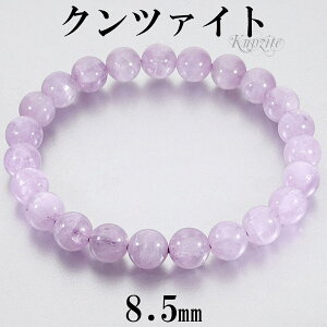 Nc@Cg AtKjX^Y uXbg 8.5mm 18.0cm YM fB[XL TCY 9 a VR p[Xg[ fB[X  r  Nc@CguXbg sN F 