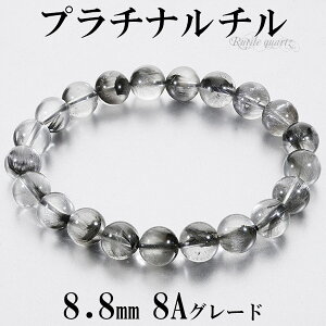 v`i` 8A O[h uXbg 8.8mm 17cm fB[XM TCY VR p[Xg[ v`i`NH[c v`i ` `NH[c fB[X  r  uX 
