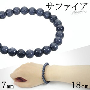 Tt@CA uXbg 7mm 15.5~18cm Iׂ S`L TCY a 9 VR p[Xg[ Tt@C fB[X Y  j r  lCr[  d^ ^  Tt@CA