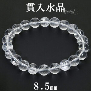 ѓ uXbg 8.5mm 17.5cm YM fB[XL TCY ѓ  VR p[Xg[ VR NH[cCNH[c Y fB[X r  uX uXbg }j