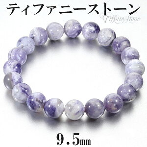 eBt@j[Xg[ uXbg 9.5mm 17.5cm YM fB[XL TCY VR p[Xg[ Y fB[X r  uX p[v  eBt@j[Xg[uXbg v