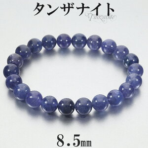 ^UiCg uXbg 8.5mm 17.5cm YM fB[XL TCY a 12 VR p[Xg[ u[ ]CTCg Y fB[X r uX  ^UiCguXbg VR