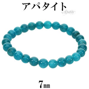 ���i�� �u���[�A�p�^�C�g �u���X���b�g 7mm 17.5cm �����Y M ���f�B�[�X L �T�C�Y �A�p�^�C�g �u���[ �A�p�^�C�g�u���X���b�g �u���[�A�p�^�C�g�u���X���b�g �V�R�� �p���[�X�g�[�� �r�� ���� 