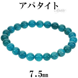 i u[Ap^Cg uXbg 7.5mm 17cm fB[X M TCY Ap^Cg u[ Ap^CguXbg u[Ap^CguXbg VR p[Xg[ r    q