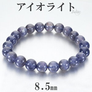 ACICg uXbg 8.5mm 17.5cm Y M fB[X L TCY 3 a VR p[Xg[ EH[^[Tt@CA R[fBGCg _CNACg j  r  p[v