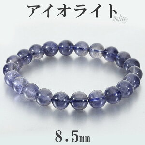 ACICg uXbg 8.5mm 17.5cm Y M fB[X L TCY ACICguXbg EH[^[Tt@CA R[fBGCg _CNACg VR p[Xg[ r  3