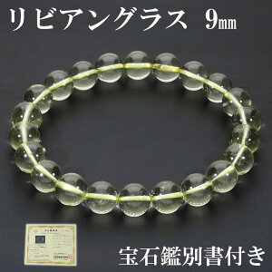 rAOX uXbg 9mm 18.5cm Y L fB[X LL TCY Ίӕʏ t VR p[Xg[ 覐 VRKX rAfU[gOX rAKX  AXg[ r