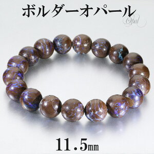 {_[Ip[ uXbg 11.5mm 19cm Y L fB[X LL TCY Ip[uXbg 10 a Ip[ vVXIp[ VR p[Xg[ r  uX j  