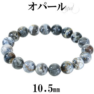 Ip[ RIp[ uXbg 10.5mm 18cm Y M fB[X L TCY Ip[uXbg u[ O[ zCg VR p[Xg[ r  10 a n d^ `