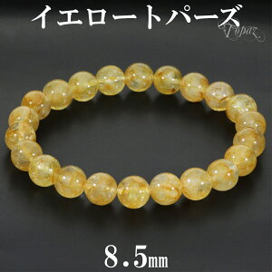 CG[gp[Y uXbg 8.5mm 17.5cm Y M fB[X L TCY gp[Y VRgp[Y gp[YuXbg IW CG[  S[h  VR p[Xg[ r  11