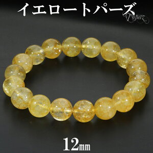 CG[gp[Y uXbg 12mm 19.5cm Y L fB[X LL TCY gp[Y VRgp[Y gp[YuXbg IW CG[  S[h  VR p[Xg[ r  11