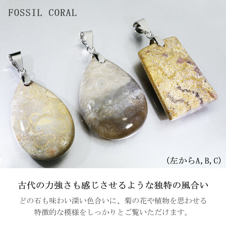楽天市場】フォシルコーラル シルバー ペンダントトップ 数量限定 