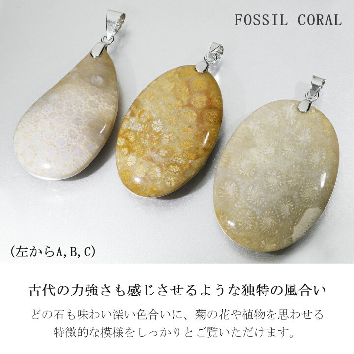 楽天市場】フォシルコーラル シルバー ペンダントトップ 数量限定 