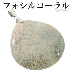 tHVR[ Vo[ y_ggbv  tHbVR[ R[ X TS y_g   VR p[Xg[ wbh gbv ΎX eڐ R[y_