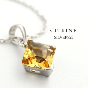 �V�R �V�g���� ���[���o�X�J�b�g �l�b�N���X �V���o�[925 �V�R�� �V�R�V�g���� 11�� �a���� �H�` �Ђ��` �_�C���` �I�� �͂��݂� �n�`�~�c �S�[���h �C�G���[ �Y�� ���ꂢ ��l���킢�� ��i 