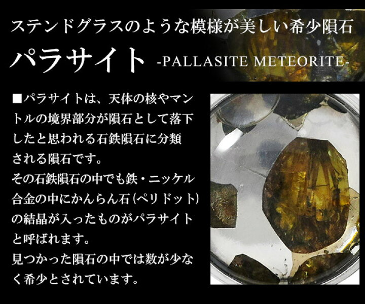 楽天市場】パラサイト 隕石 メテオライト シルバー ペンダントトップ 