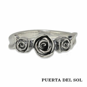 PUERTA DEL SOL Three Rose ԕ [Y KN o O(7`23) Vo[950 jZbNX Vo[ANZT[  SV950 u^jAVo[ Vo[O w w YO fB[
