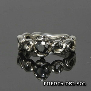 PUERTA DEL SOL w}^Cg XN[  O(3`21) w}^Cg Vo[950 jZbNX Vo[ANZT[  SV950 u^jAVo[ Vo[O w w YO 