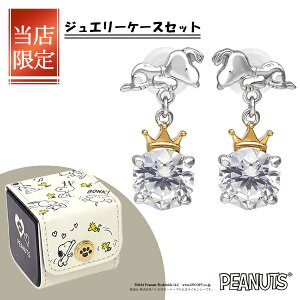 Iׂ2F Xk[s[ 75NLO NE sAX h `[ 2P p fB[XsAX Vo[925 WRjA  ObY LN^[WG[ l킢 킢 fB[