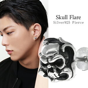 tA XJ Vo[ X^bhsAX 1P Ўp sAX Vo[sAX Vo[925 Vo[ANZ Y  hN [ ANZT[ X^bY   SVbN pN 