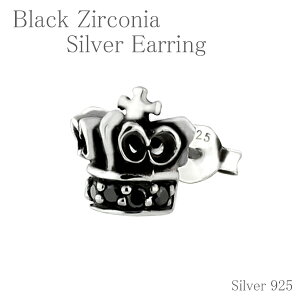 ピアス ボディピアス かっこいい メンズの人気商品 通販 価格比較 価格 Com