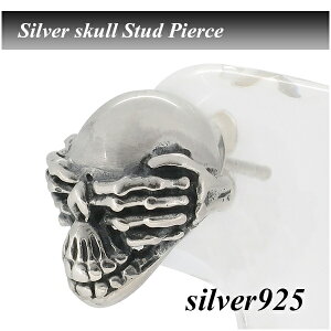 XJ Vo[ sAX 1P Ўp Vo[ANZT[ Y jp 925 XJ  YsAX jpsAX v[g lC  