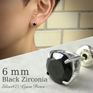 ピアス メンズ シンプル 黒の人気商品 通販 価格比較 価格 Com