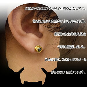 楽天市場 ロエン Roen Black ブラックジルコニア イエローゴールド スター ラウンド シルバーピアス 2p メンズ ロエンブラック ローエンブラック シルバー925 銀 メンズピアス ブランド ピアス 円柱型 星 黒 金メッキ ゴールドカラー メンズアクセ プレゼント 人気
