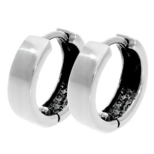 Vv Vo[ t[vsAX 14mm×4mm 2P p Vo[sAX OsAX ܂ꎮ ی^ jZbNX Vo[925 傫  x[VbN i ANZT[ Y fB[X V