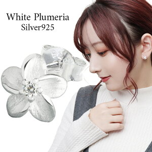 vA sAX Vo[sAX 1P Ўp nCA nCAWG[ Vo[ fB[XsAX fB[X p  WRjA psAX NX}X v[g lC 