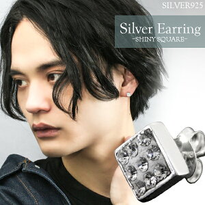 VCj[ XNGA Vo[ sAX 1P Ўp Vo[ANZT[ Y jp 925 YsAX jpsAX v[g lC  