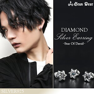 GRANDEUR _rf̐ wLTO ANA} g} _Ch Vo[sAX 1P Ўp Y sAX Vo[ T^}AANA} Z䊐 _  X^[ Vo[925 