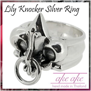 AKEAKE [ hAmbJ[ Vo[O 16`21 Y O Vo[ n[h Vo[925 j w S  mbJ[ ̑ APAP uh NX}X v[g lC ގ 