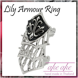 AKEAKE [ A[}[ Vo[O A[}[O Armour Y O Vo[ n[h Vo[925 j w S  ̑ APAP uh NX}X v[g lC ގ 