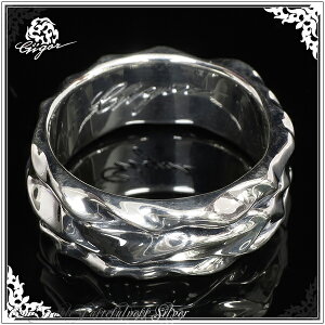 GIGOR WSE bgO Vo[ O 7`25 Vo[925 Vo[O Y fB[X uh XJ[X Ȑ ˂  w SCALIES series YO jpw N