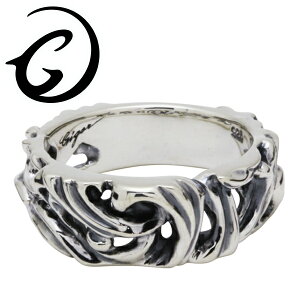 GIGOR WSE Vo[ tbWO 7`25 Vo[925 Y fB[X uh Vo[O  AxXN [t  Vv w G-DIAN series W[fBAV[Y 