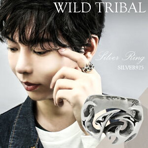 Ch gCo Vo[O 17`23 Vo[ O Y Vo[925 Vo[ANZT[ j w  t@C[p^[ YO jpw NX}X v[g 