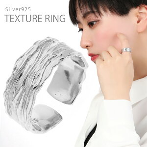 eNX` O w 11`15 Vo[ 925 t[TCY 傫 傫TCY  肰Ȃ l Vv Z~n[h ꂢ Vo[O Y fB[X j  