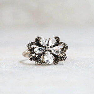 ROKUZAN zCggp[Y  O w 11`17 Vo[925 }[JTCg RWG[ uh fB[X  ޏ   NX}X v[g lC 