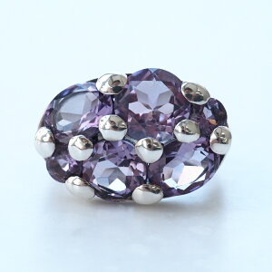 ROKUZAN AWXg {[ O w 11`17 Vo[925 RWG[ uh fB[X  ޏ   NX}X v[g lC 